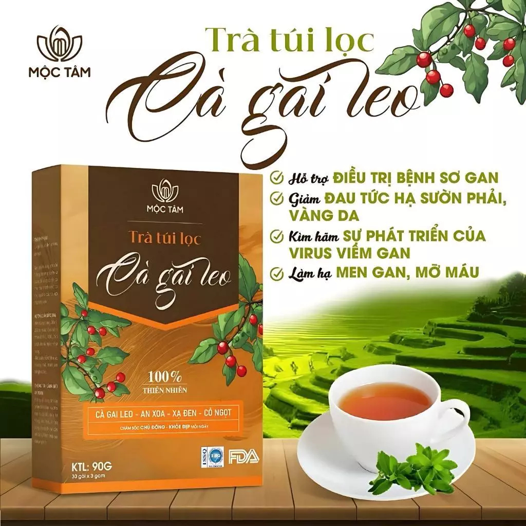 https://jindo.vn/wp-content/uploads/2026/05/d32868be-798c-4384-abf7-8dd50b2e379b.jpg