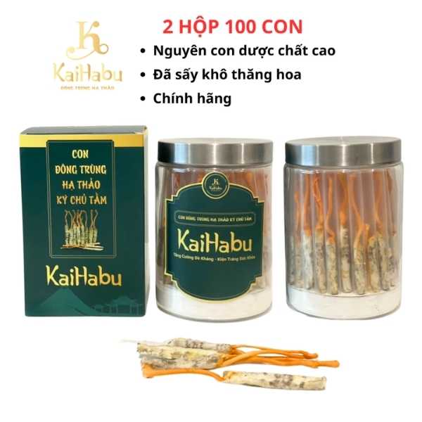 100 con đông trùng hạ thảo ký chủ tằm VIP2 KaiHabu, 2 lọ x 50 con, tổng 100 con