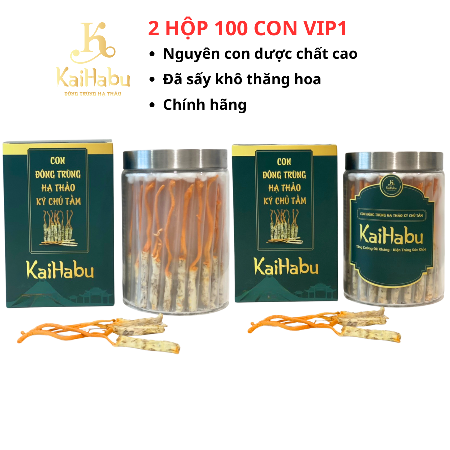 100 con VIP1 đông trùng hạ thảo ký chủ tằm KaiHabu, 2 lọ x 50 con, tổng 100 con