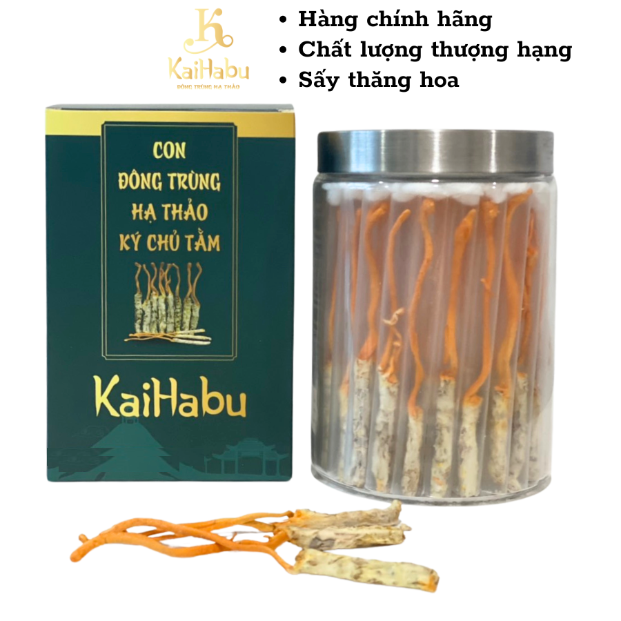 50 con VIP1 đông trùng hạ thảo ký chủ tằm KaiHabu, lọ 50 con