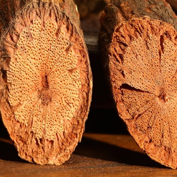 https://jindo.vn/wp-content/uploads/2026/09/da-giao-dang-jindo-kho-thai-lat-ho-tro-cai-thien-giac-ngu-2.jpg