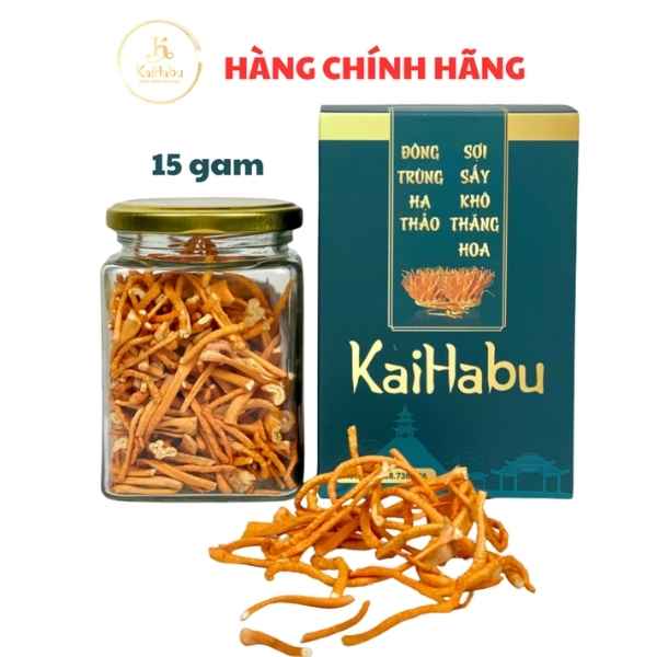 Lọ 15g đông trùng hạ thảo sợi gãy KaiHabu, lọ thủy tinh, khối lượng tịnh 15g