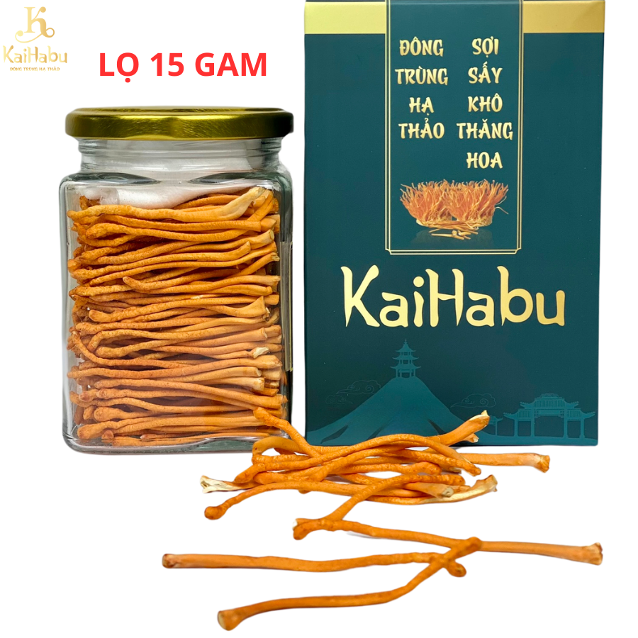 Lọ 15g đông trùng hạ thảo sợi nguyên VIP2 KaiHabu, lọ thủy tinh, khối lượng tịnh 15g