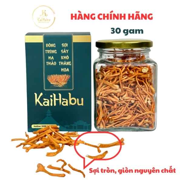 Lọ 30g đông trùng hạ thảo sợi gãy KaiHabu, lọ thủy tinh, khối lượng tịnh 30g