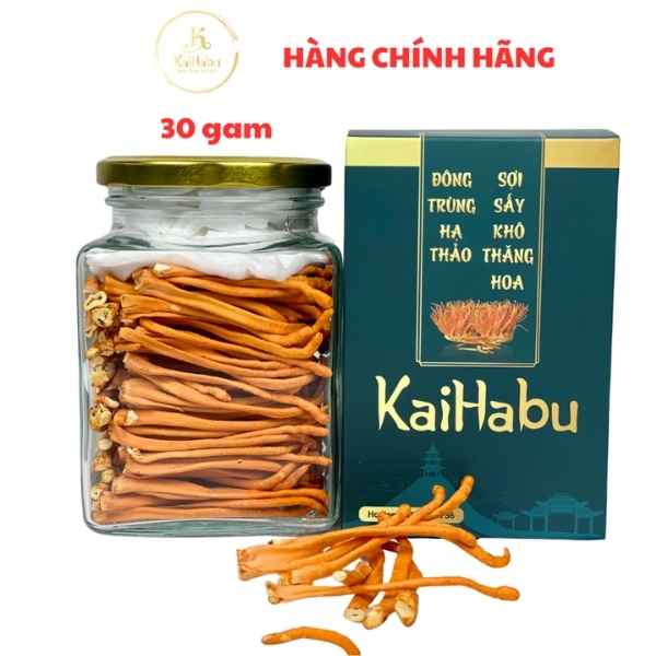 Đông trùng hạ thảo sợi nguyên VIP1 KaiHabu, lọ thủy tinh, khối lượng tịnh 30g