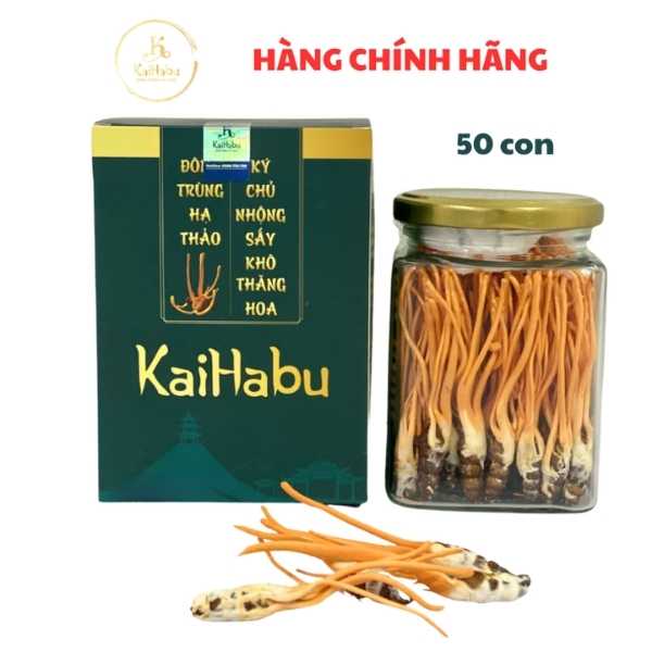 Đông trùng hạ thảo ký chủ nhộng KaiHabu, lọ 50 con, ký chủ nhộng nguyên con sấy khô