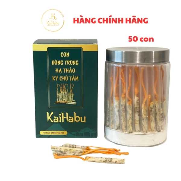 Lọ 50 con đông trùng hạ thảo ký chủ tằm VIP2 KaiHabu, lọ 50 con