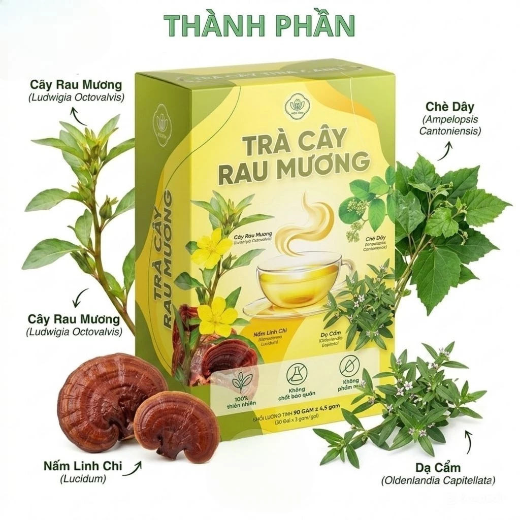 Trà túi lọc rau mương Mộc Tâm